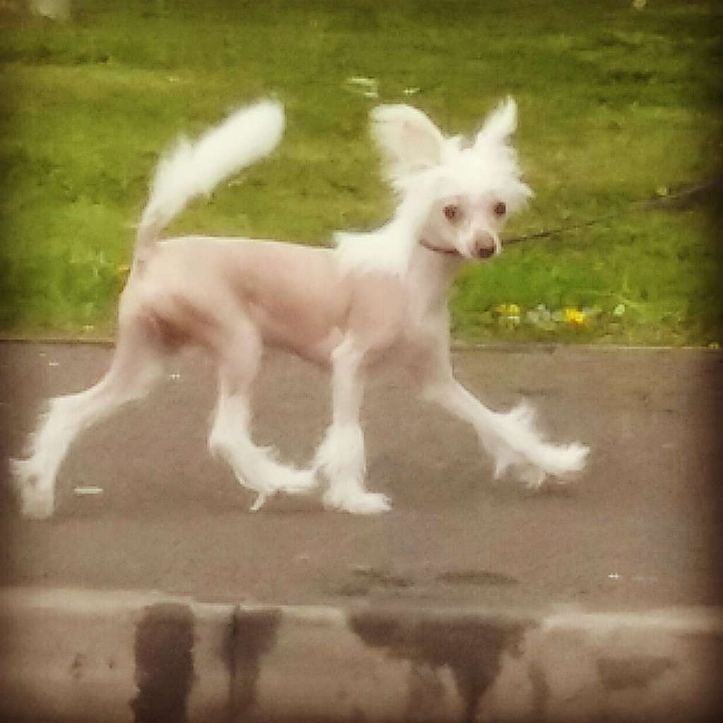 Galanday Ray of Hope