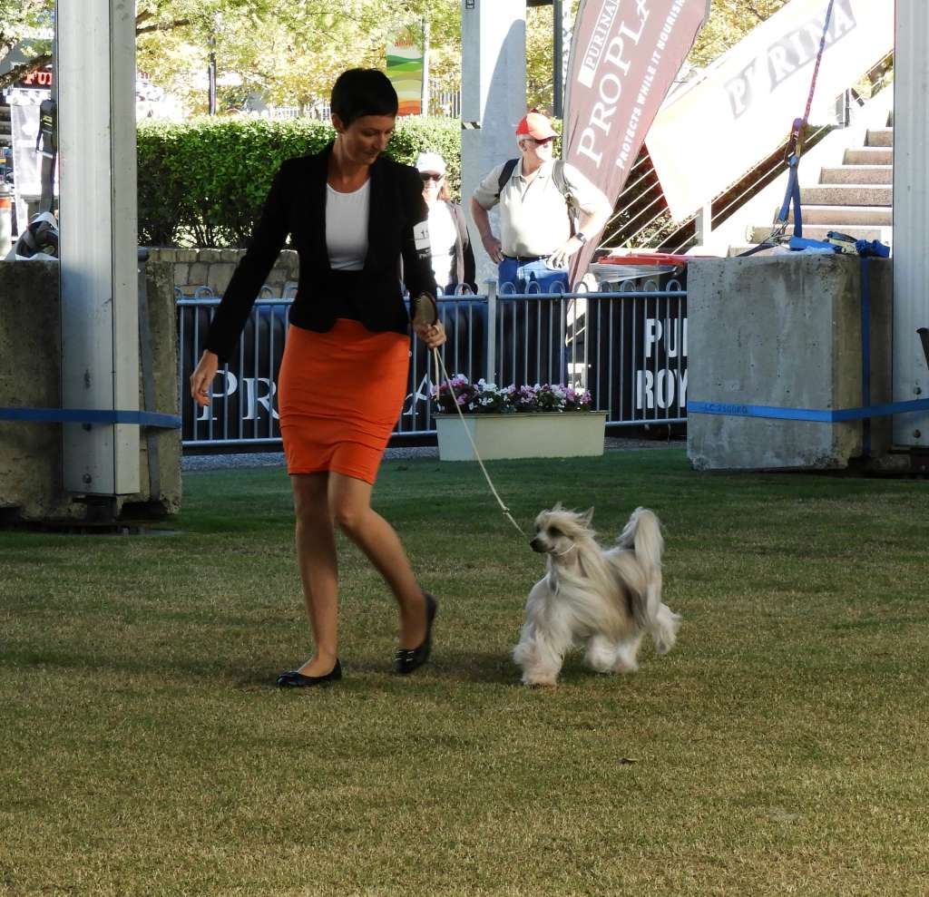 Karakush Orange isth New Black