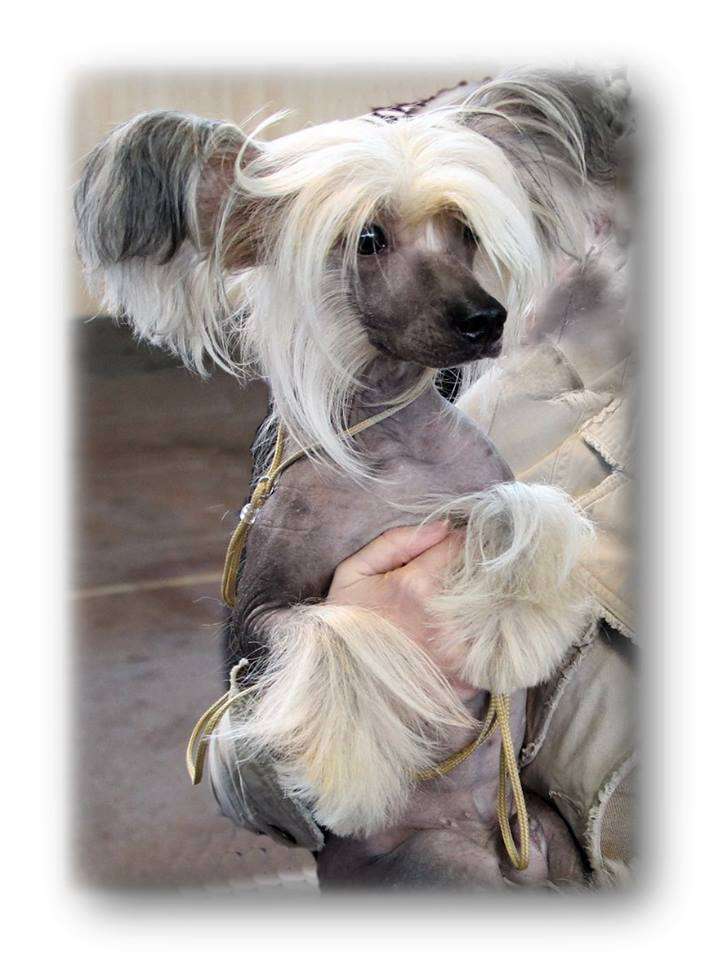 Incanto Del Mondo Secret Service