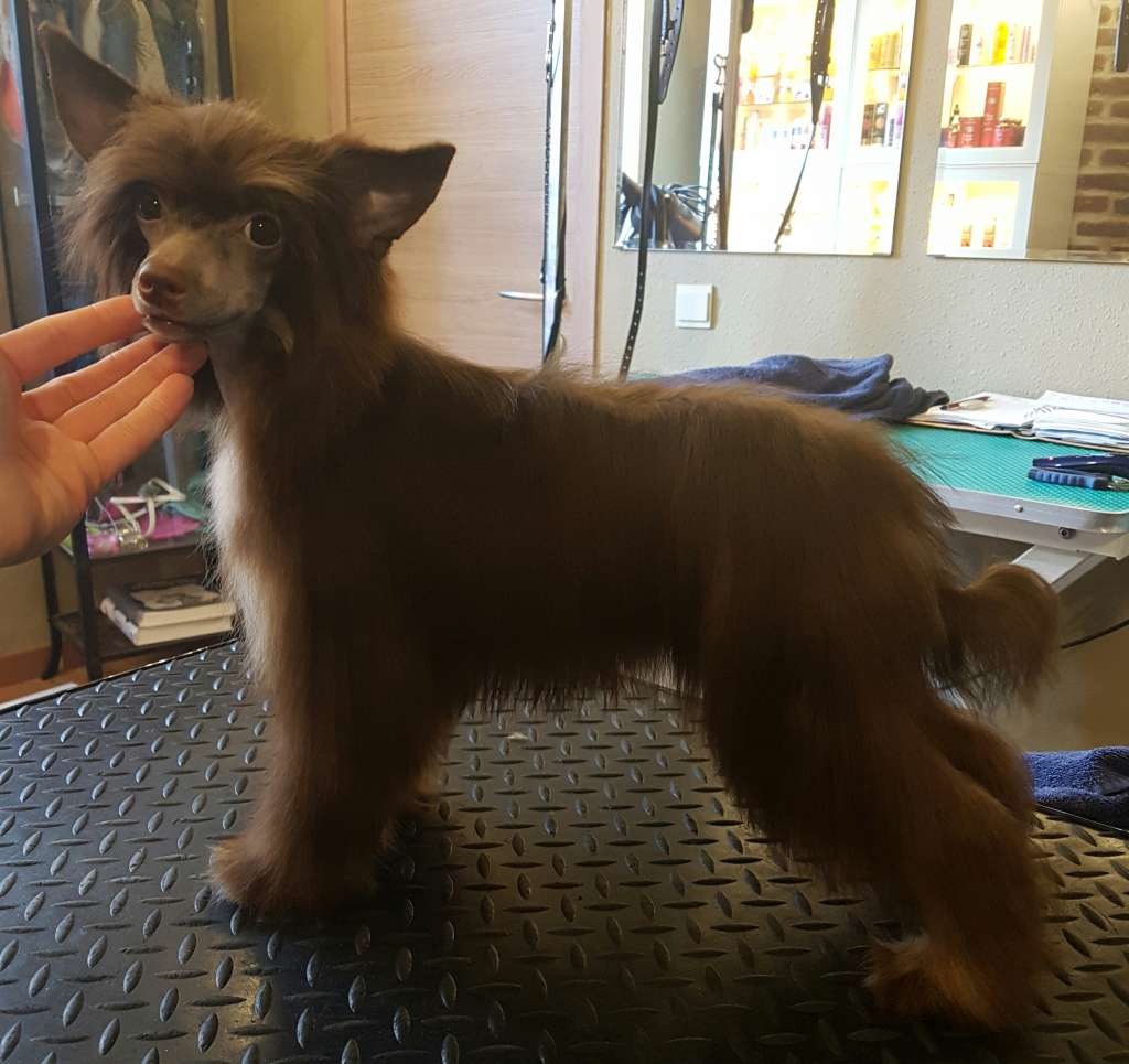 Once Upon A Dream Parisatis