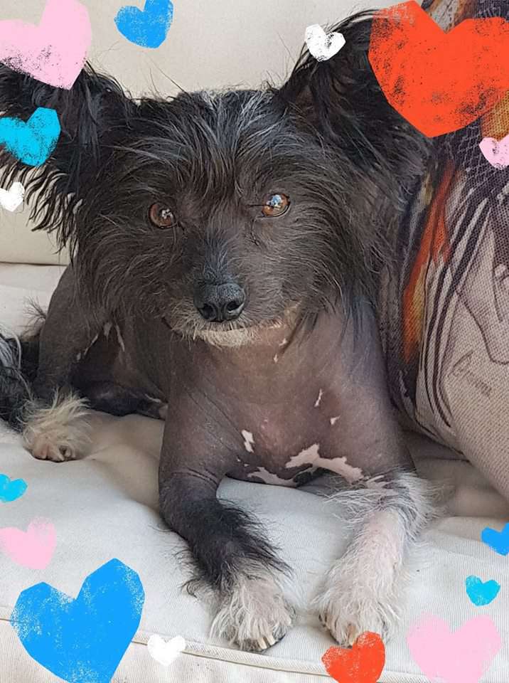 Giorgio Armani Caramella's Family