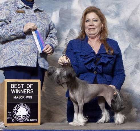 Country's The Villainess