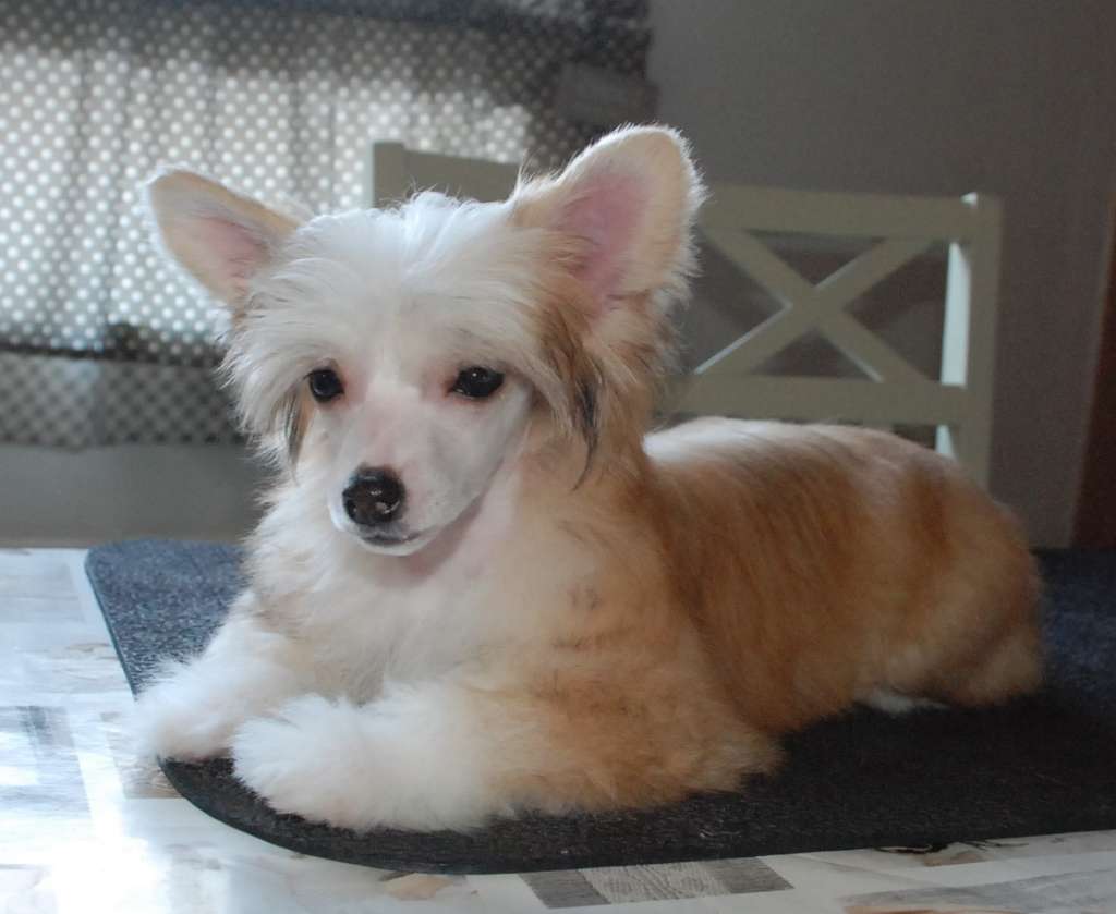 Maybell's Bring It On