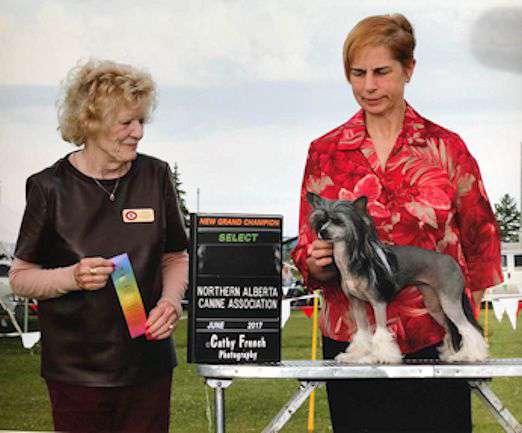 Can GRCH WillowGlyn Prairiemist Xenya