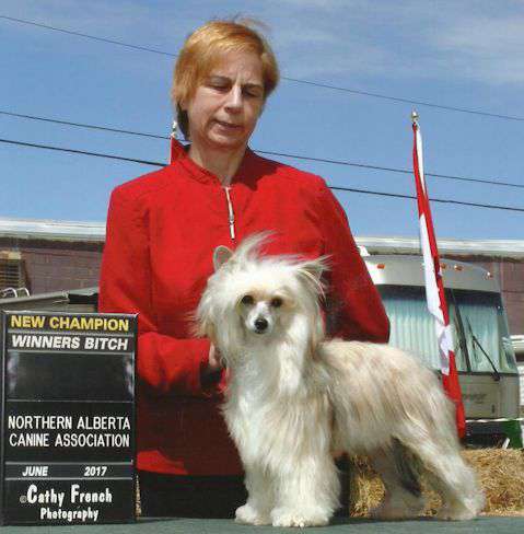 Can CH WillowGlyn Perfectly Pink