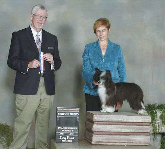 Can GRCH WillowGlyn Dreamcatcher