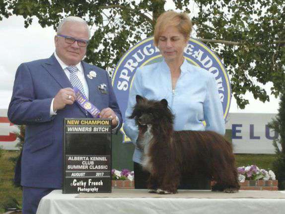 Can GCH WillowGlyn Elvira