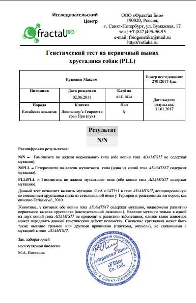 Liustalver's Genrietta Gran Pri