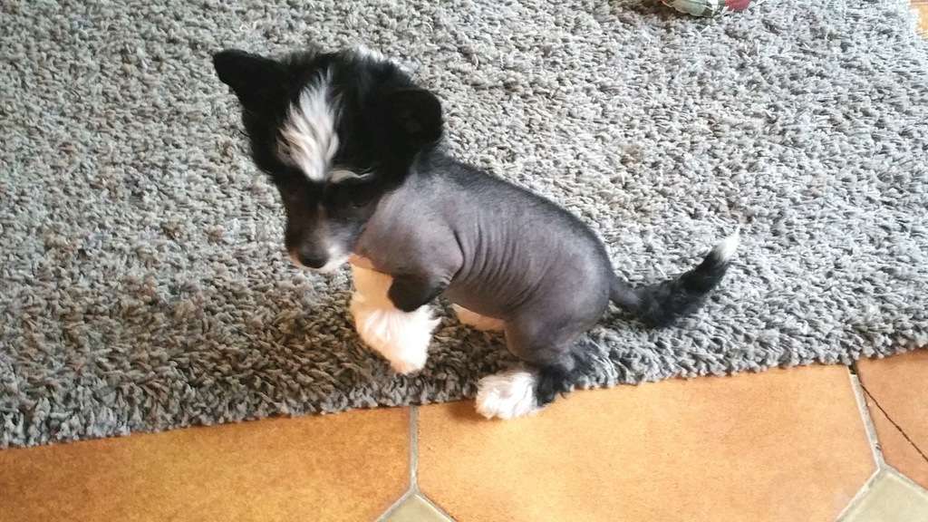 Moon Harbour Magie Noire