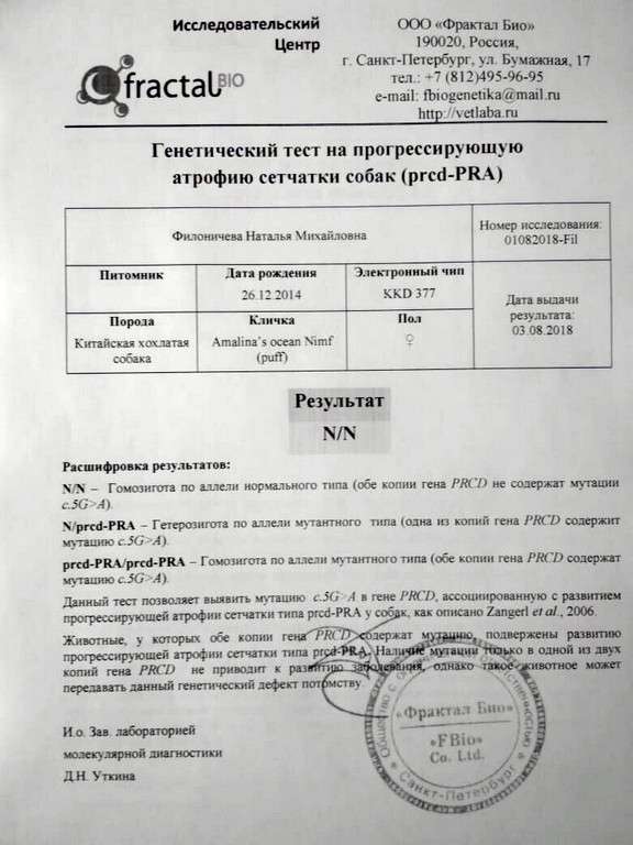 Amalina'S Ocean Nymph