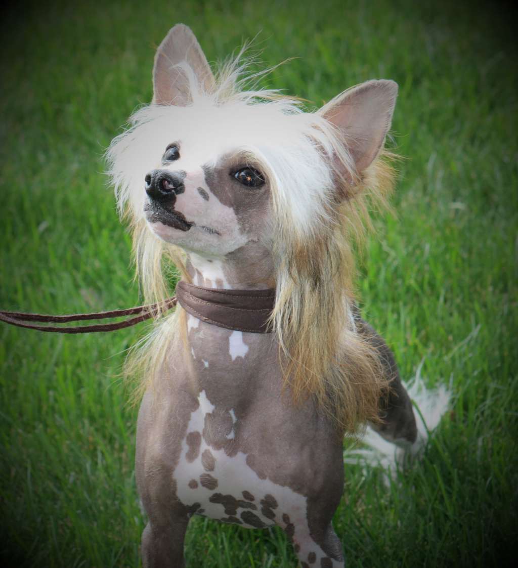 Heaven Sent's Trois Cirque de Rythme