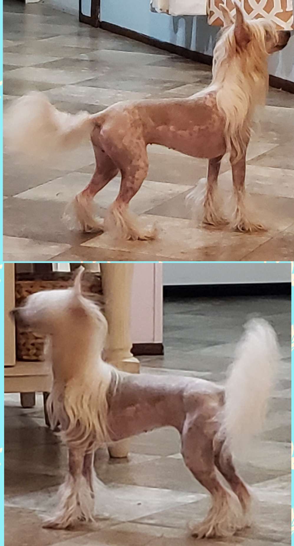 Famrus More Than Better