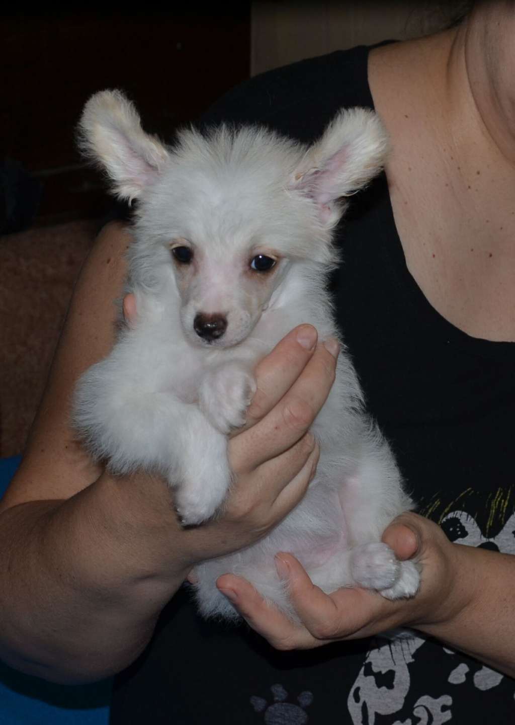 Magic of Success Rachel