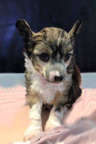 Nothing else matters Loka Samsara