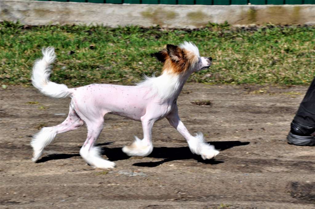 Chelsea Winning Smile