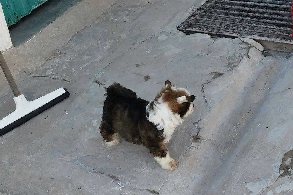 You Xu Brisa De Amor