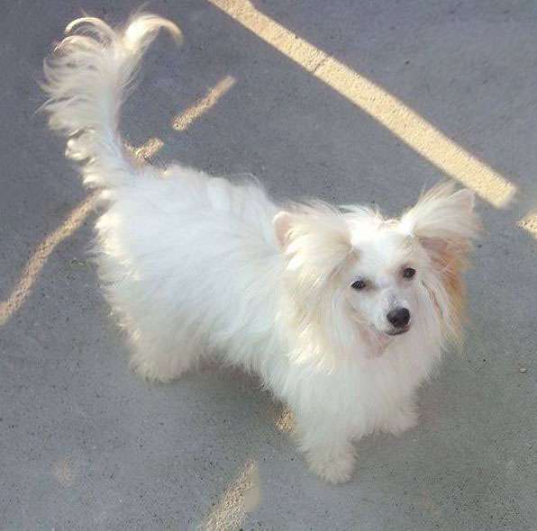 Fundoklia-völgyi Kaszanics Cindarella