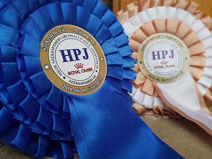 Jasmine Zína Princess Di Rabozi