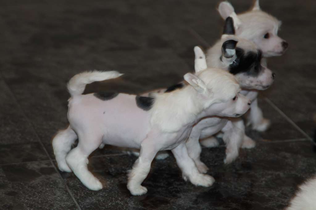 Premier Mari Fernando