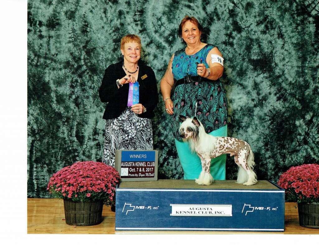 Belews Silver Bullet V ShockTop