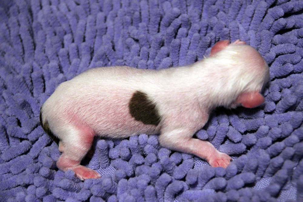 Diamanti Della Vita Best Of The Best