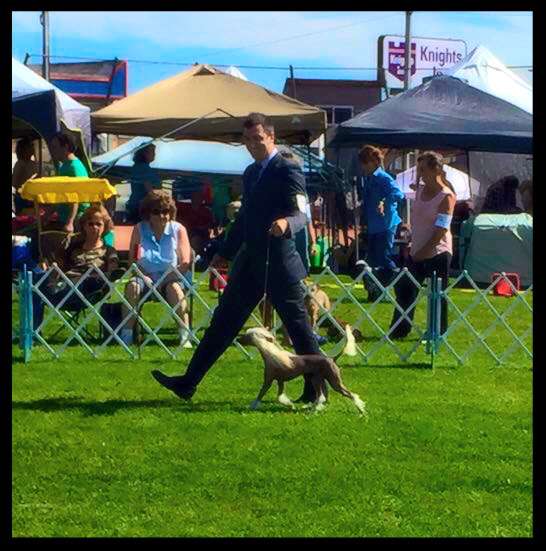 Nina's K Reina Sofia