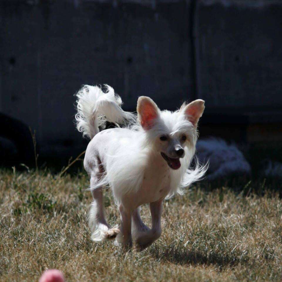 Graffiti's Sweet Summer Child