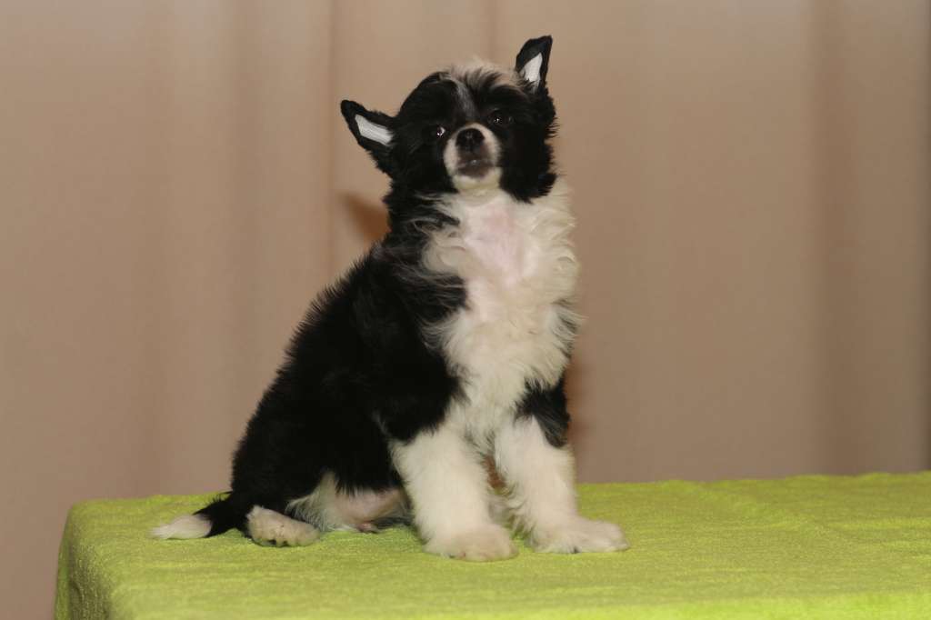 Family Mar'S Leticia