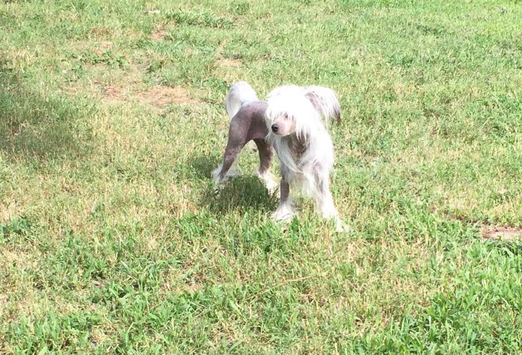 Jewel's Little Jenna Bug