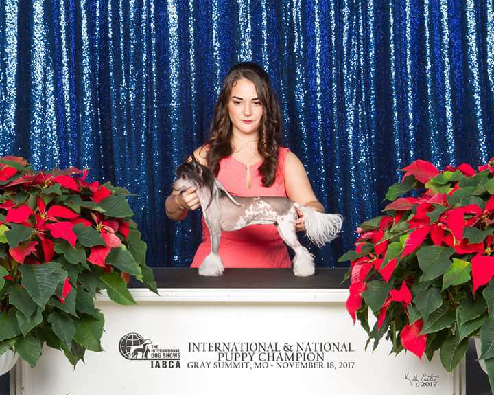 Xpozures Darkest Desire at Starbound