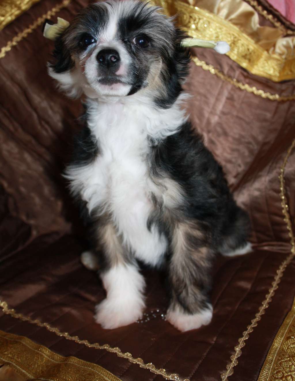 After Midnight of Baltic Sea Diamonds