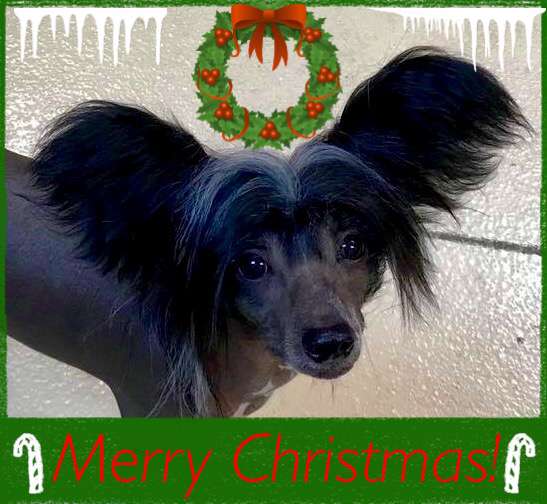 Nina's K Do You See Why