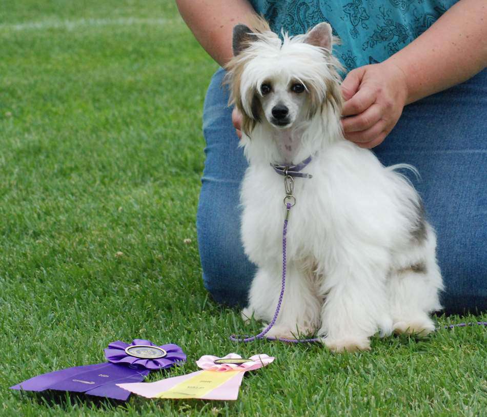 Zipolino's Snowdrop Cuddlepie