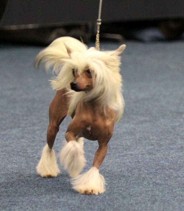 Bliss Of My Soul Kraspamir