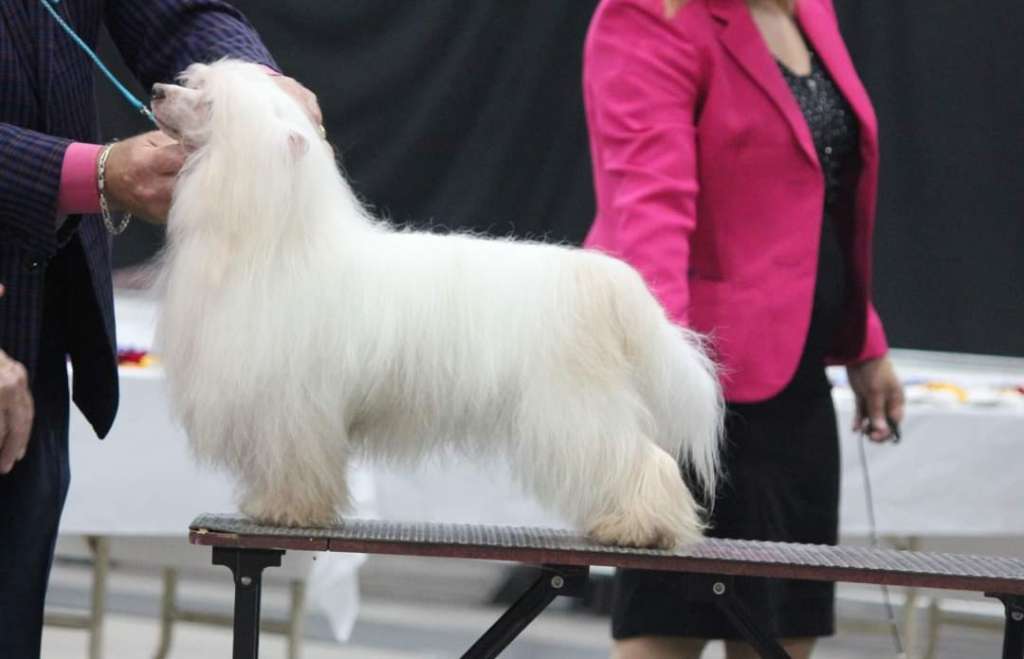 Gardine Don't Stop Believin'