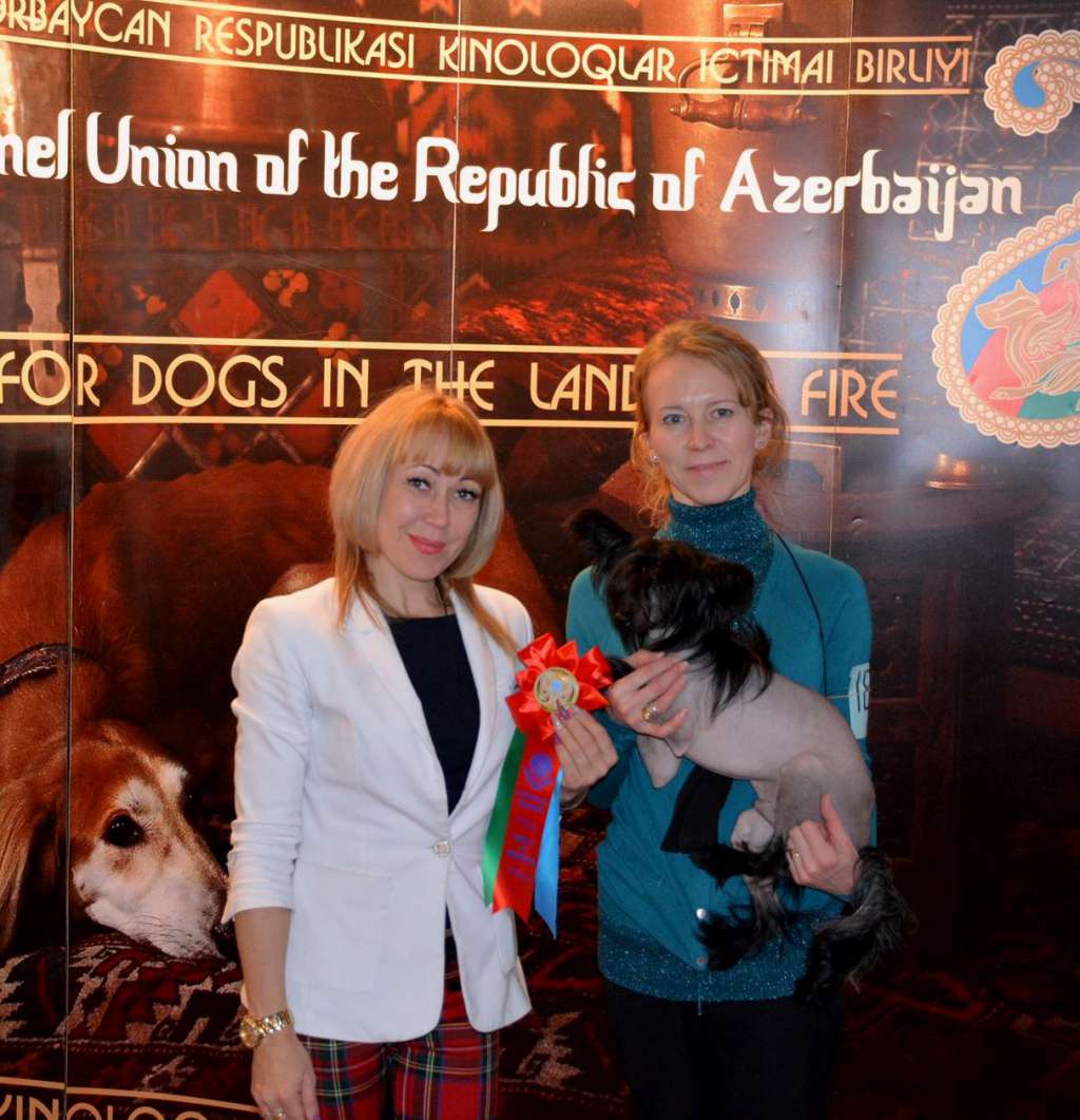 Ch. First Lovely Furswood