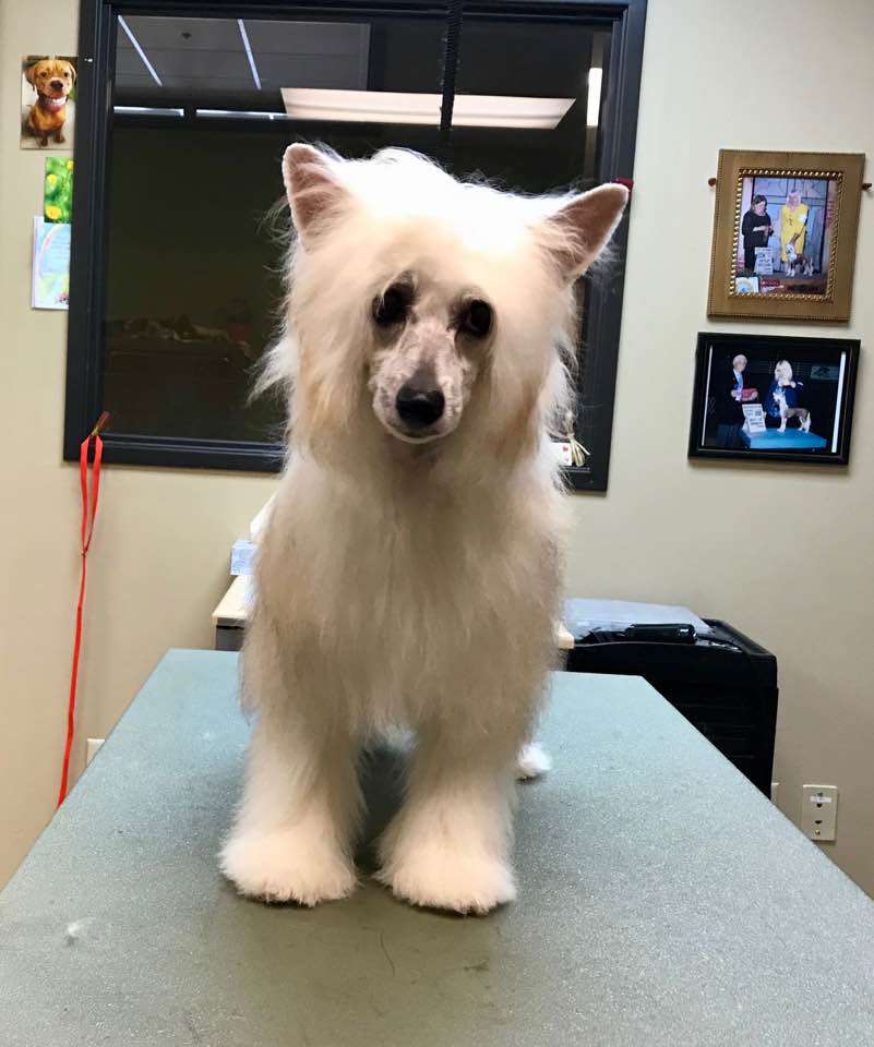 Nina's K D. C. Madam