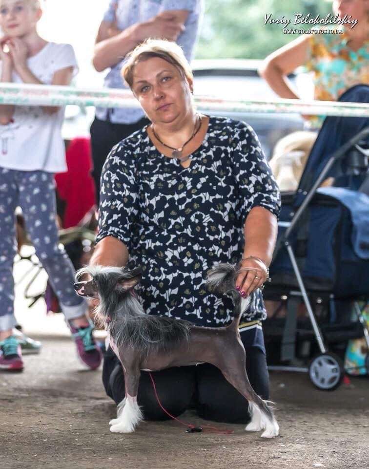 Lucky Penny  Dom Risorto