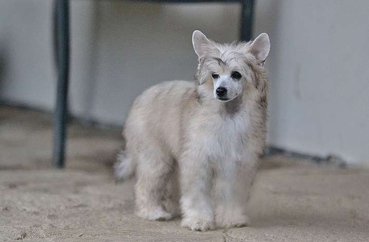 Machu Picchu Akwen Jemalle