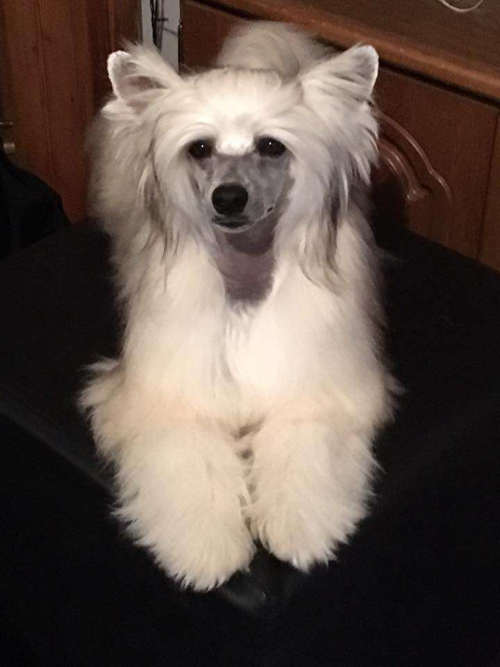 Manitou Akwen Jemalle