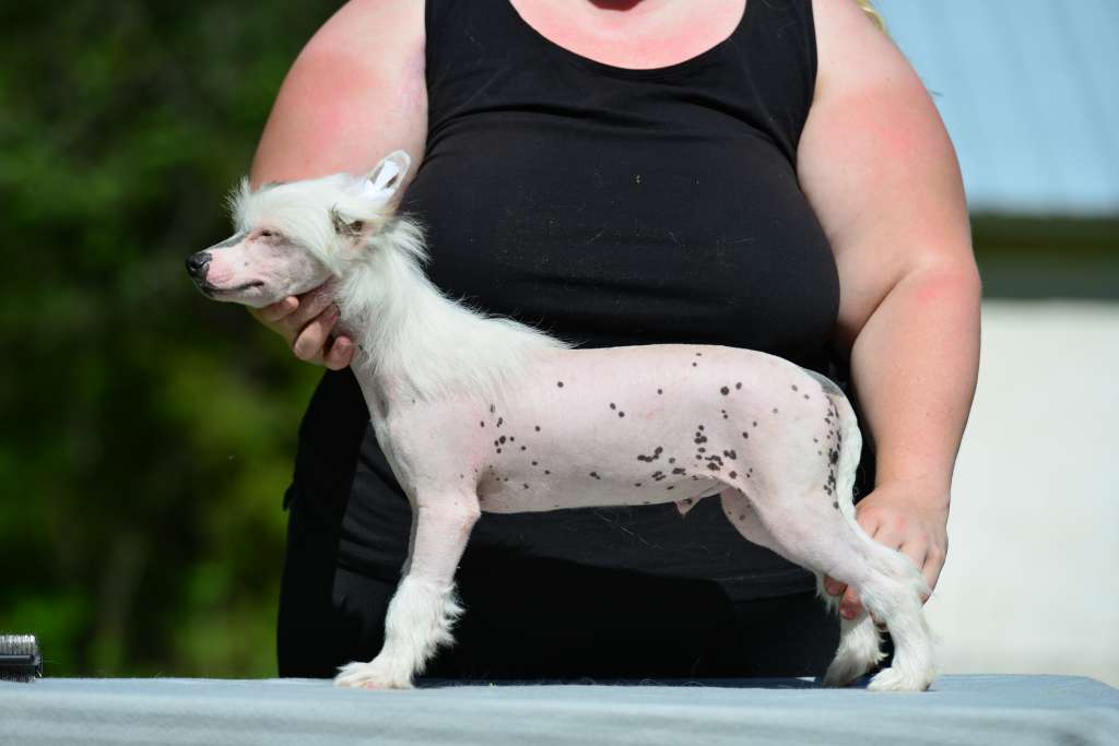 Sun Dan Chilly Willy