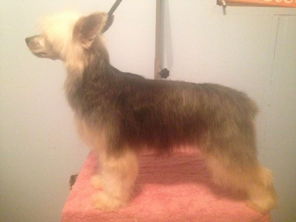 Brigadune Tale As Old As Time By Dee Kay