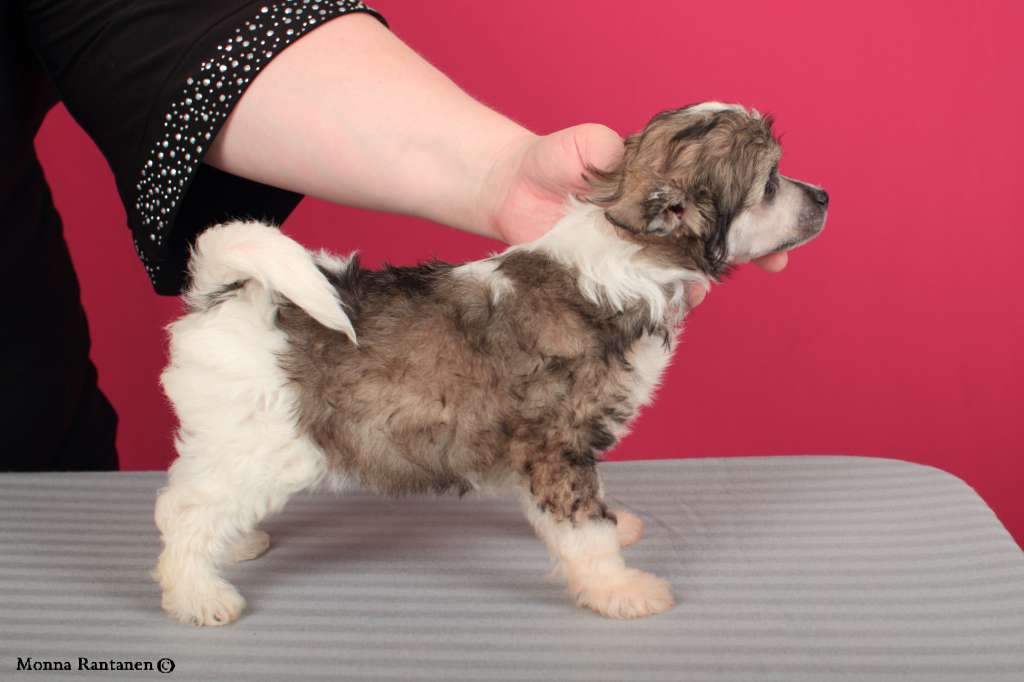 Sun Dan Heart And Soul