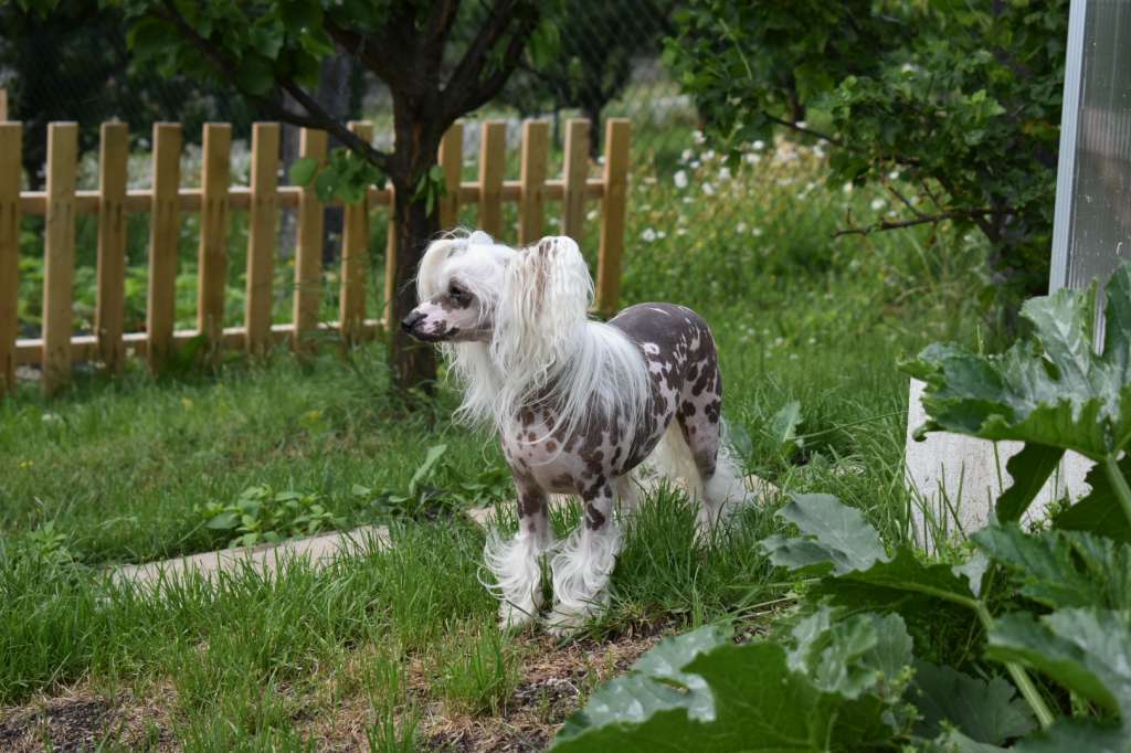 Gillien Blanch Ipsi Grand