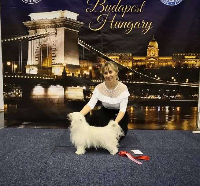 Fundoklia-völgyi Kaszanics Honey