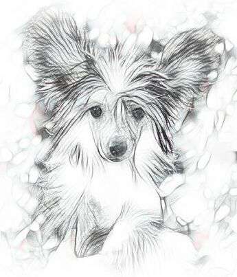 Magic of Success Galaxy