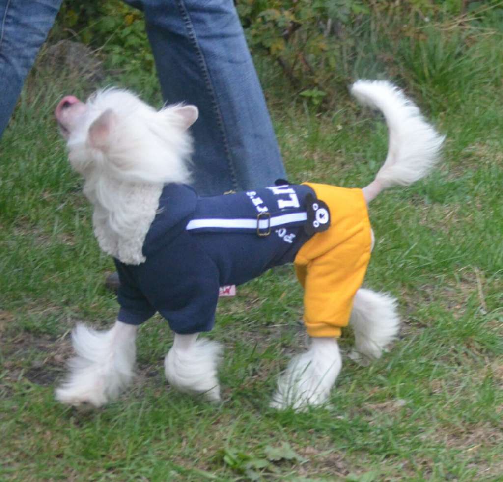 Magic of Success Goddess of Beauty