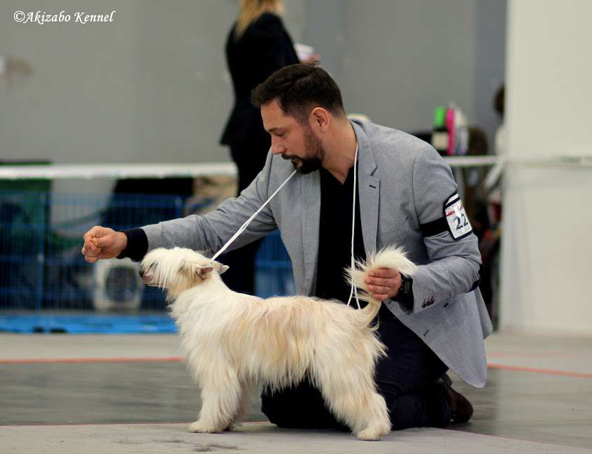 Solveig Rosa Thea Fci