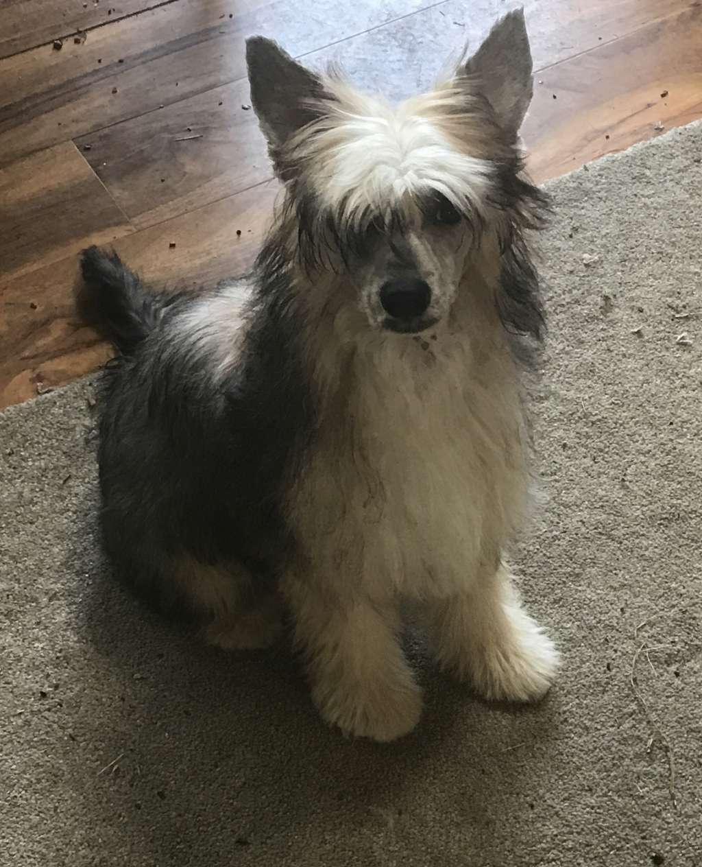 Marblepearl Mac Laren