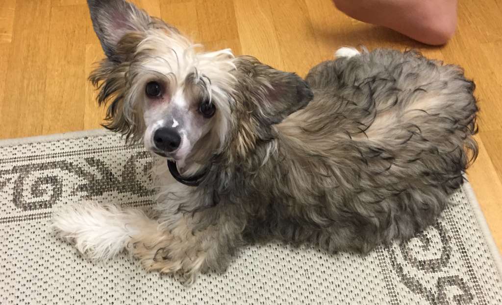 Lunacrest Champagne Bath